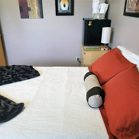 The Dewberry Homestay B&B-3